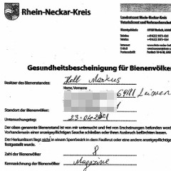 Gesundheitszeugnis Gesundheitszeugis